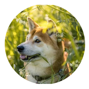 1052 Happy Dog