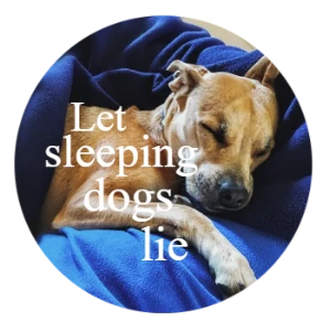 1120 Sleepy Dog