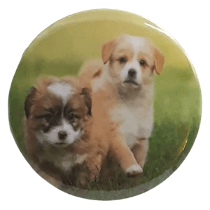 501 2Puppies