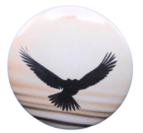 526-Wings In Flight