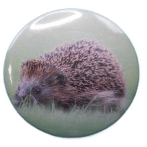 626 Hedgehog