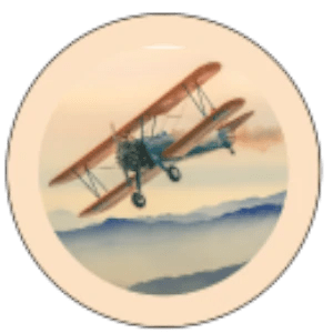 1196 Flying Plane