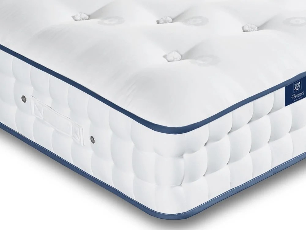 Willow & Eve Bed Co. Signature Comfort Pocket 7000 Mattress