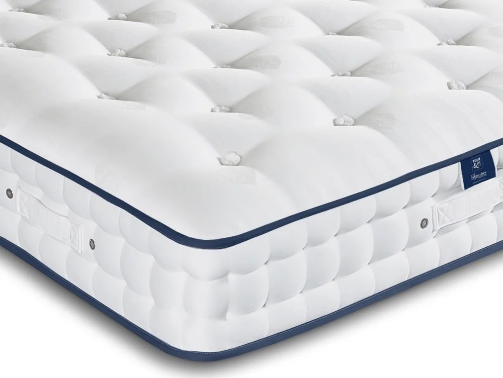 Willow & Eve Bed Co. Signature Support Pocket 3000 Mattress