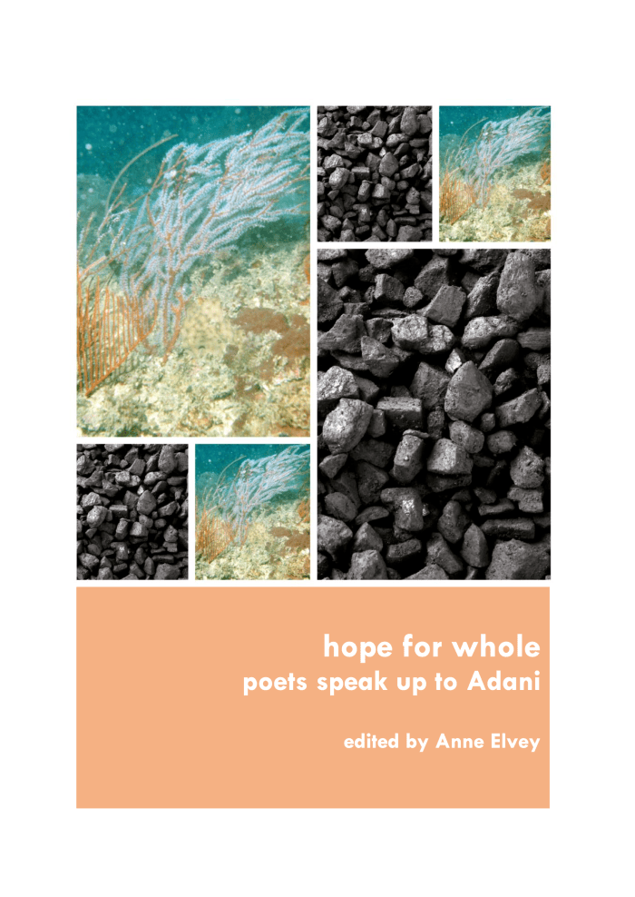 Hope for Whole anthology cover