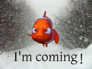nemo
