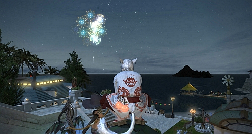 Watching summer fireworks with FC friend