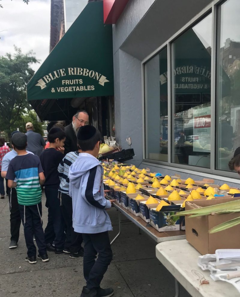 Etrog Marmalade Kosher Com - Download Amazing Vintage Picture | Retina