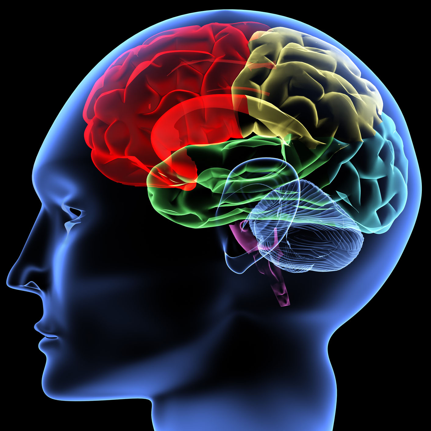 Science and brain centered resources for parents struggling