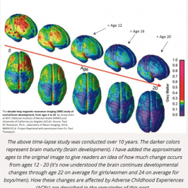 when brain development views risk with reason