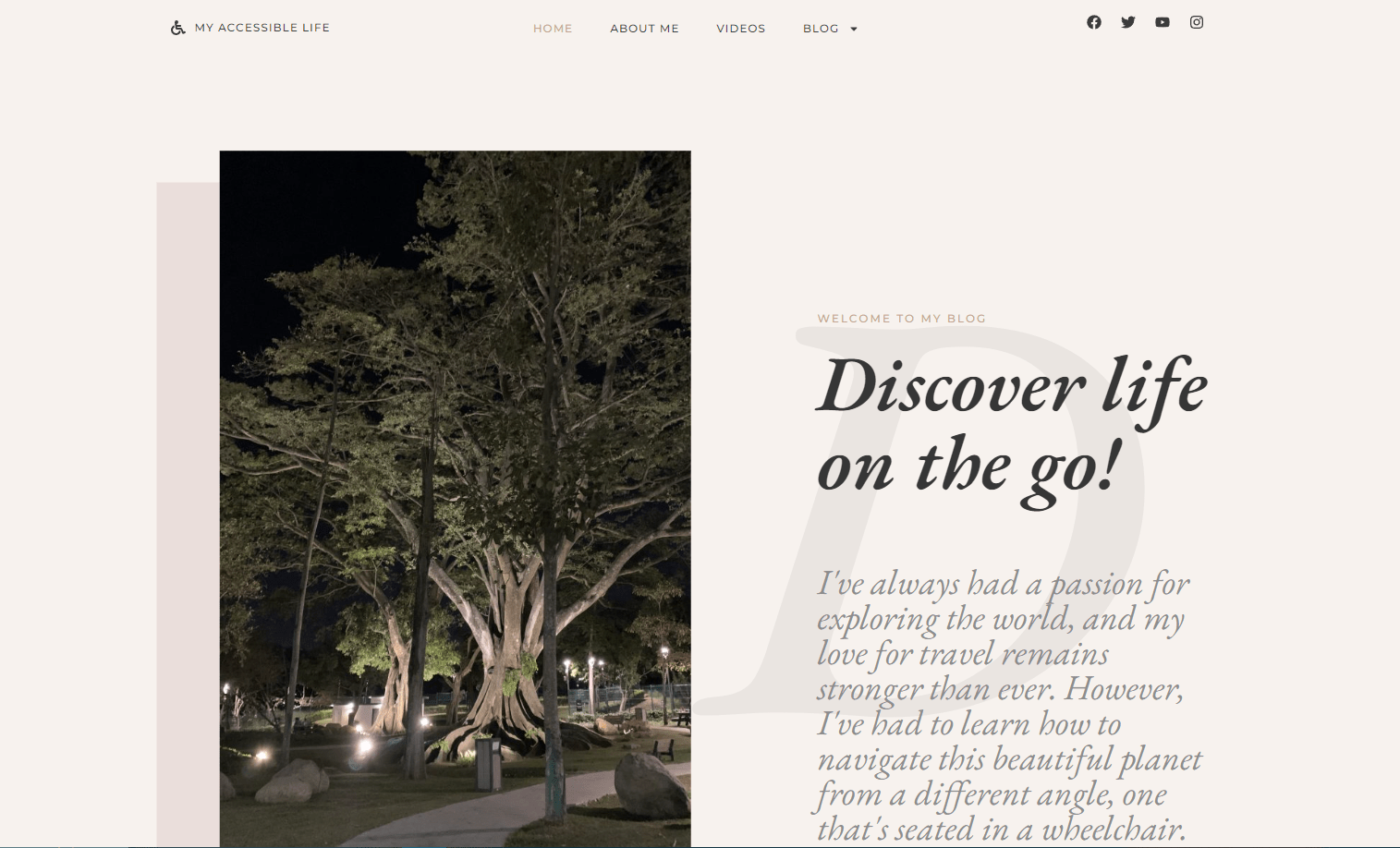Accessible website design
