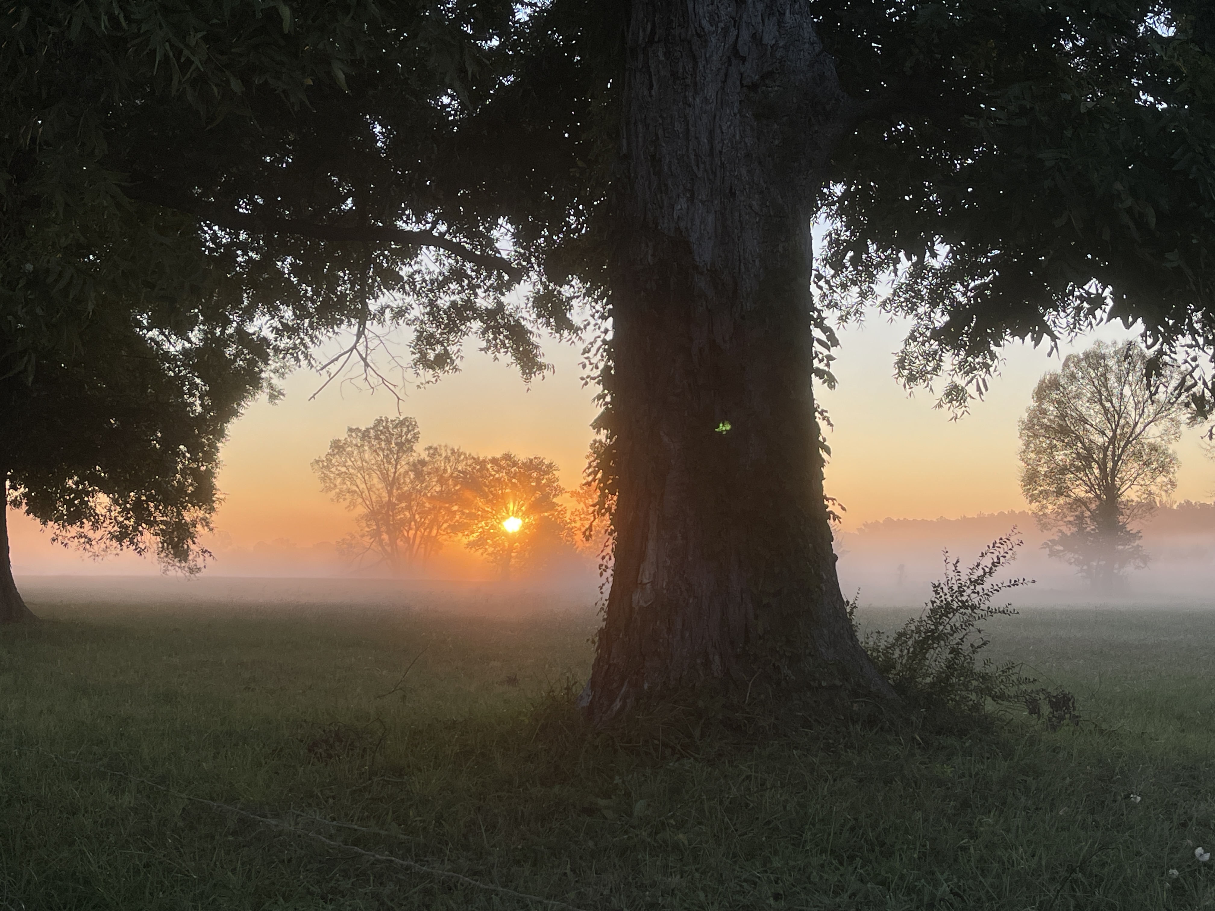 Understanding and Embracing Grief