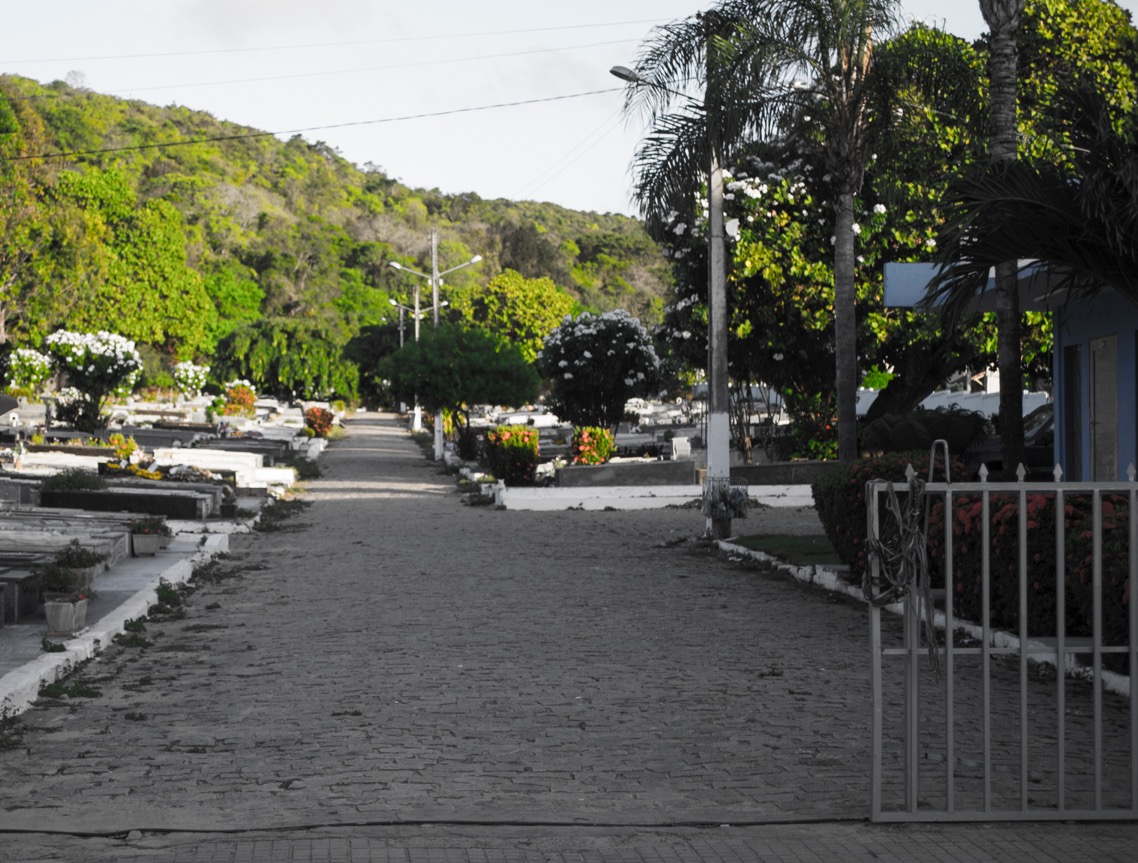 DSC_0179_Jadir_Pereira