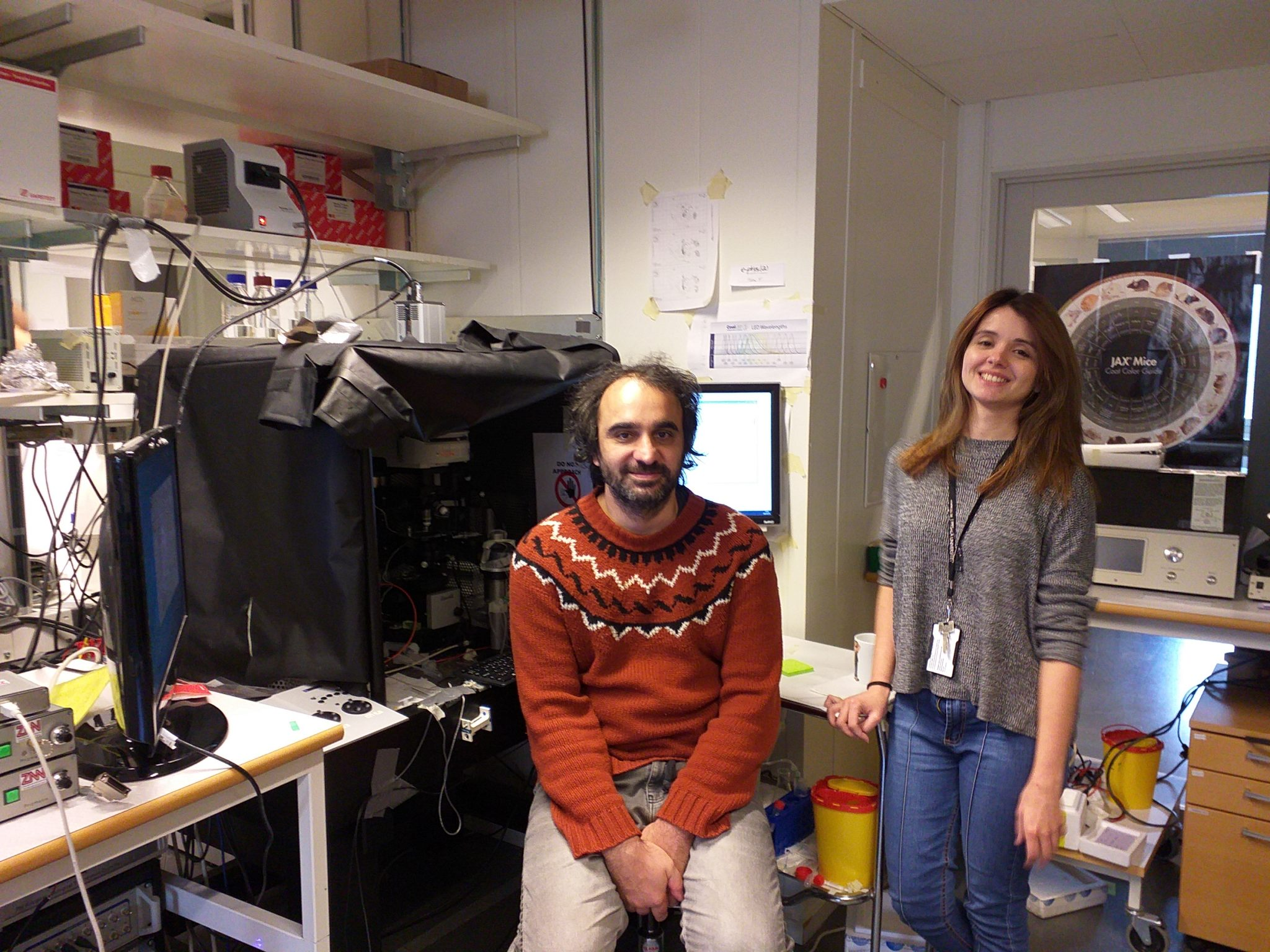 depressão e ansiedade