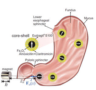 RN remédio doenças gástricas