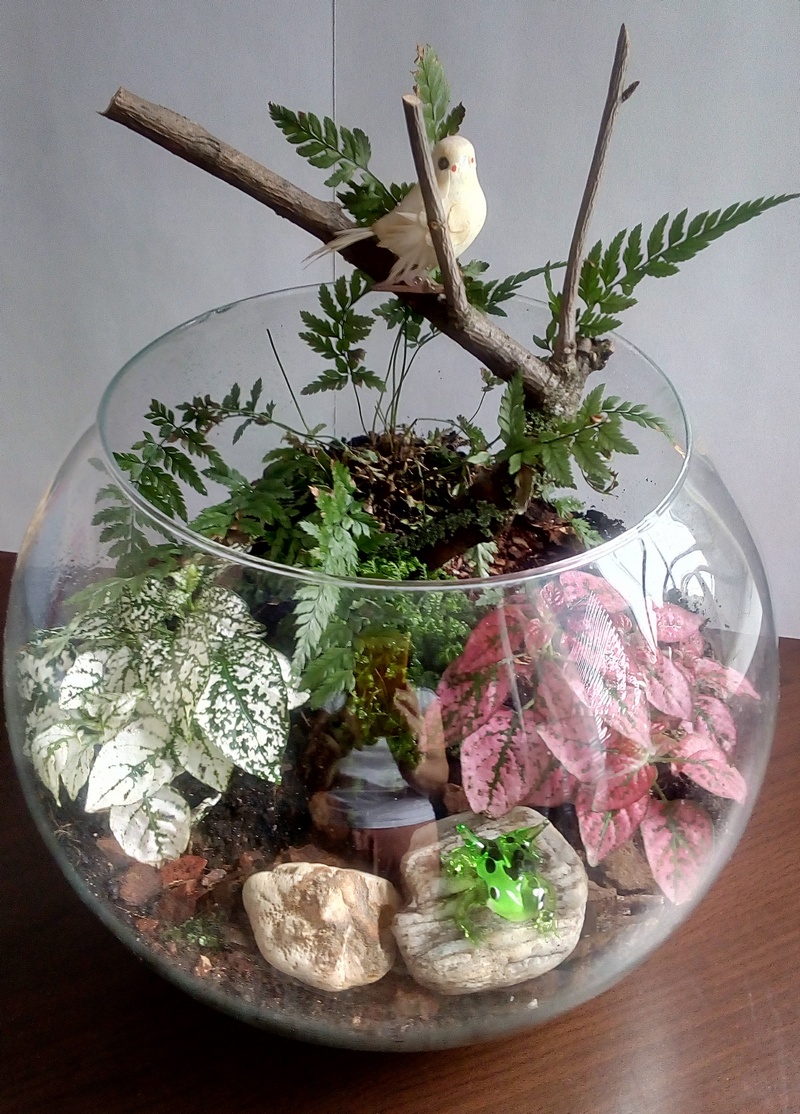 Выбор идеального места для установки фитостены