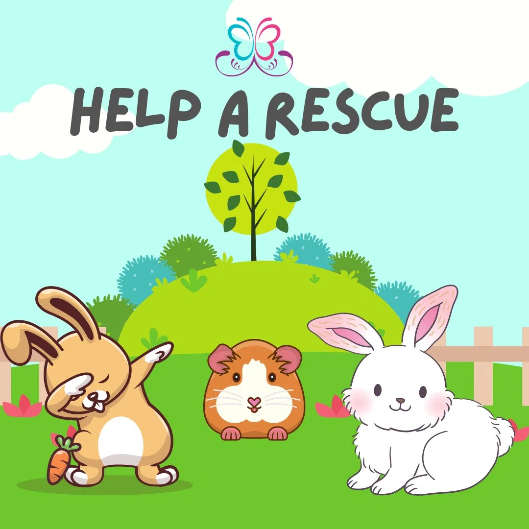 help-a-rescue-archives-bree-co