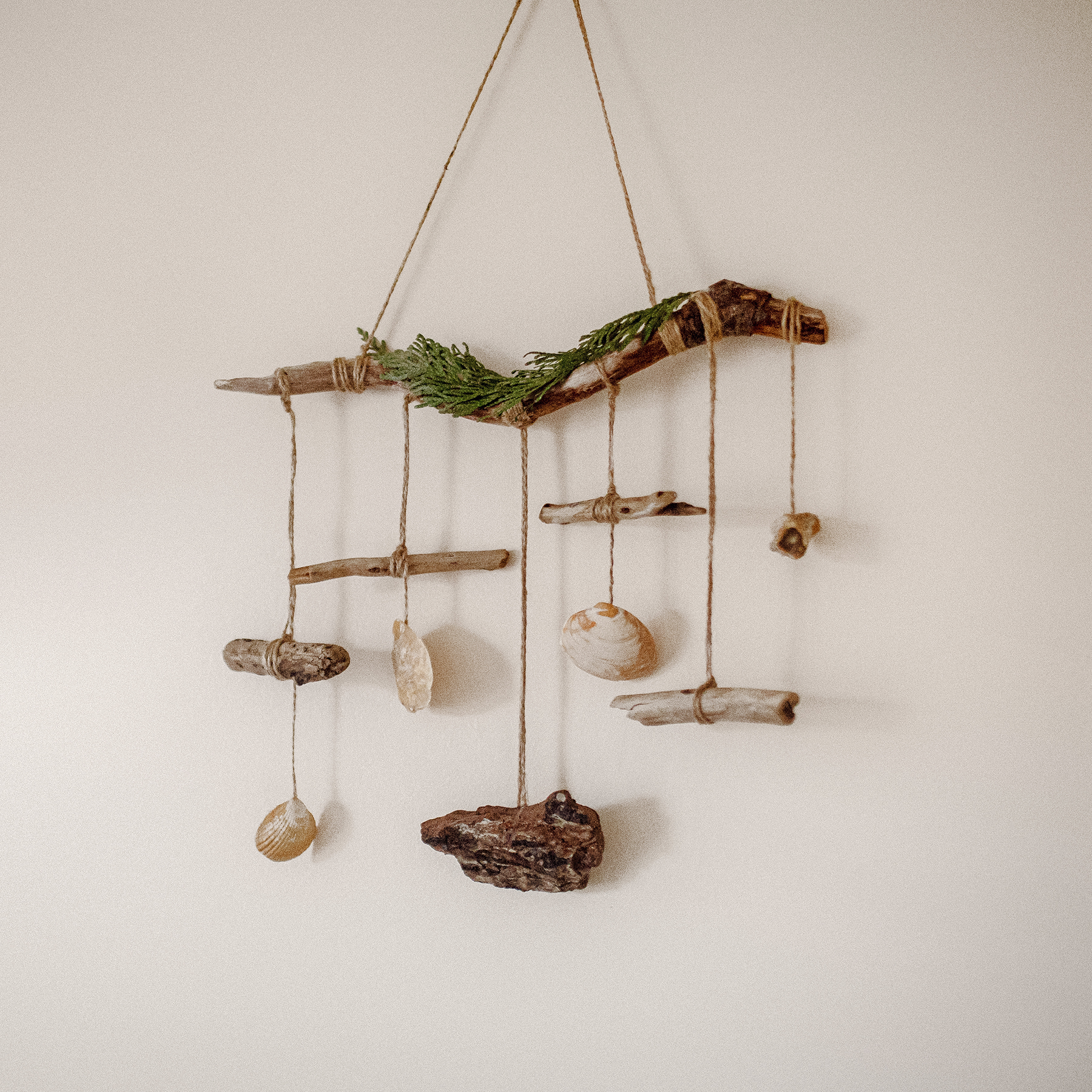 DIY Driftwood & shell Wall Hanging