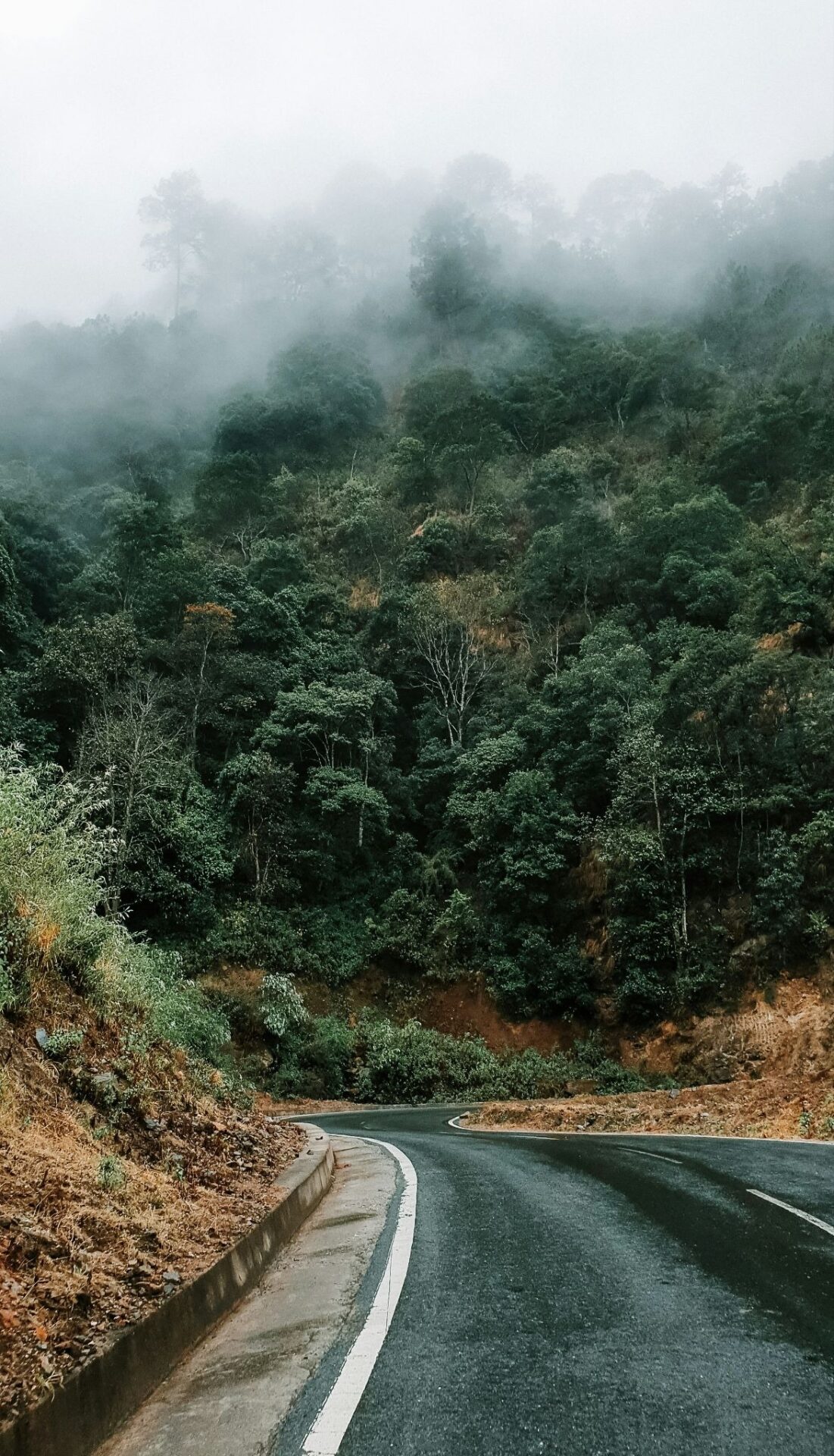 Read more about the article Dreaming the Law — Living Law Part VIII