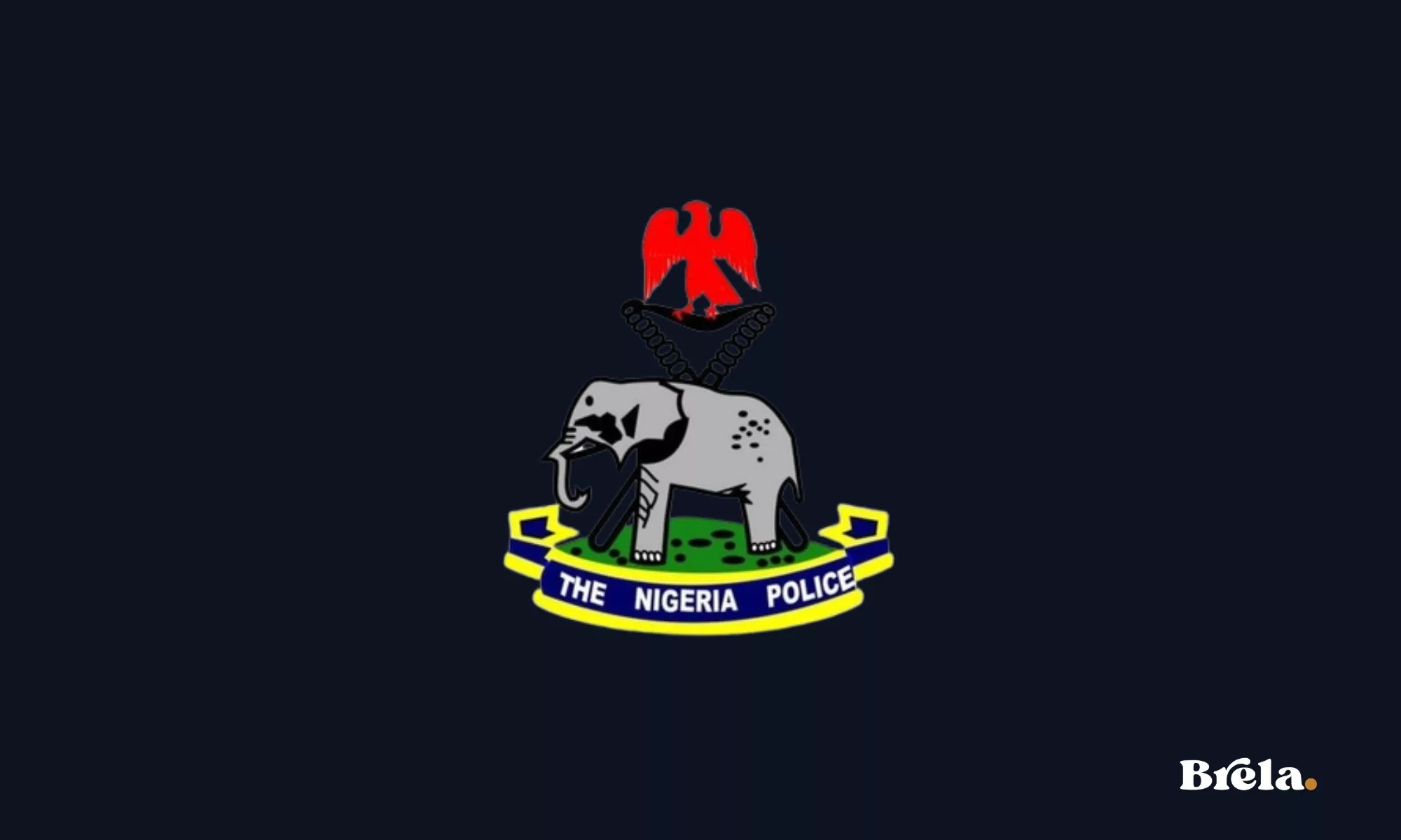 Digitizing the Police Force: Integrating National Identity Databases