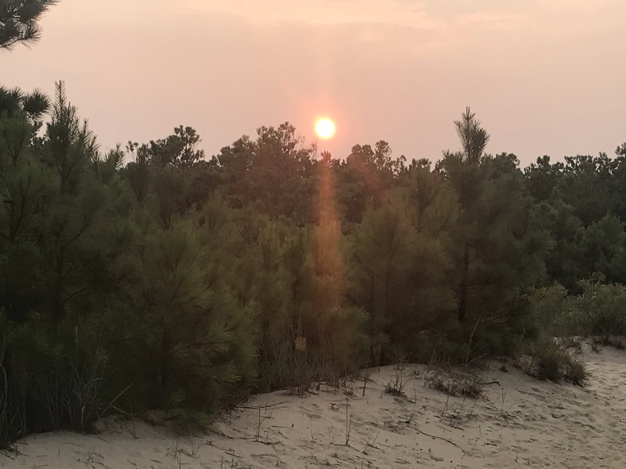 Vacation Trilogy: Part 3, Beach Goodbyes