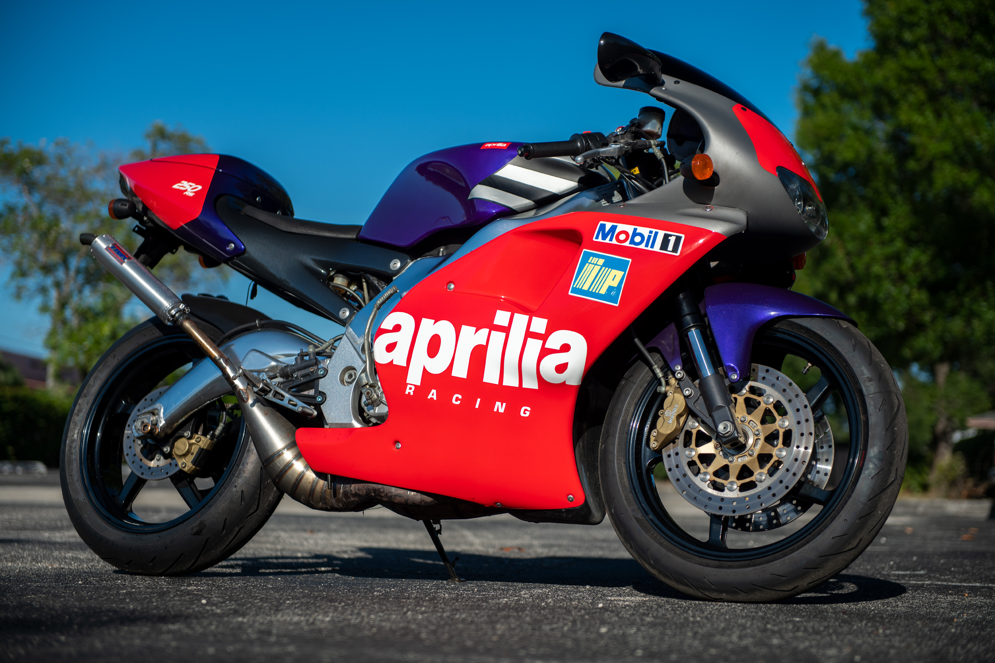 スリア　ジョージーナトップ DSC_3049.jpg?fit=2000,1333&ssl=1