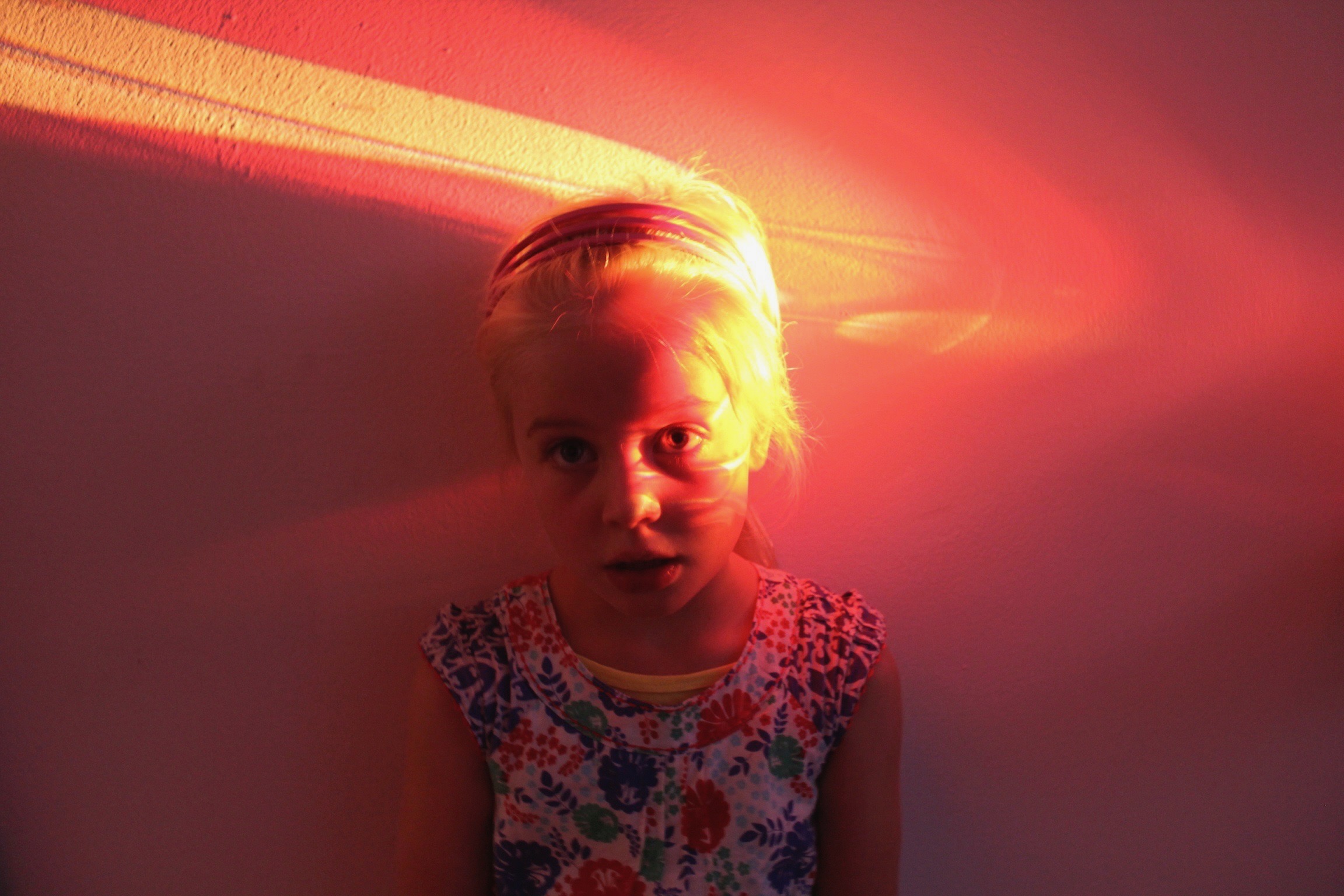 Molly at the Tasmanian Museum and Art Gallery