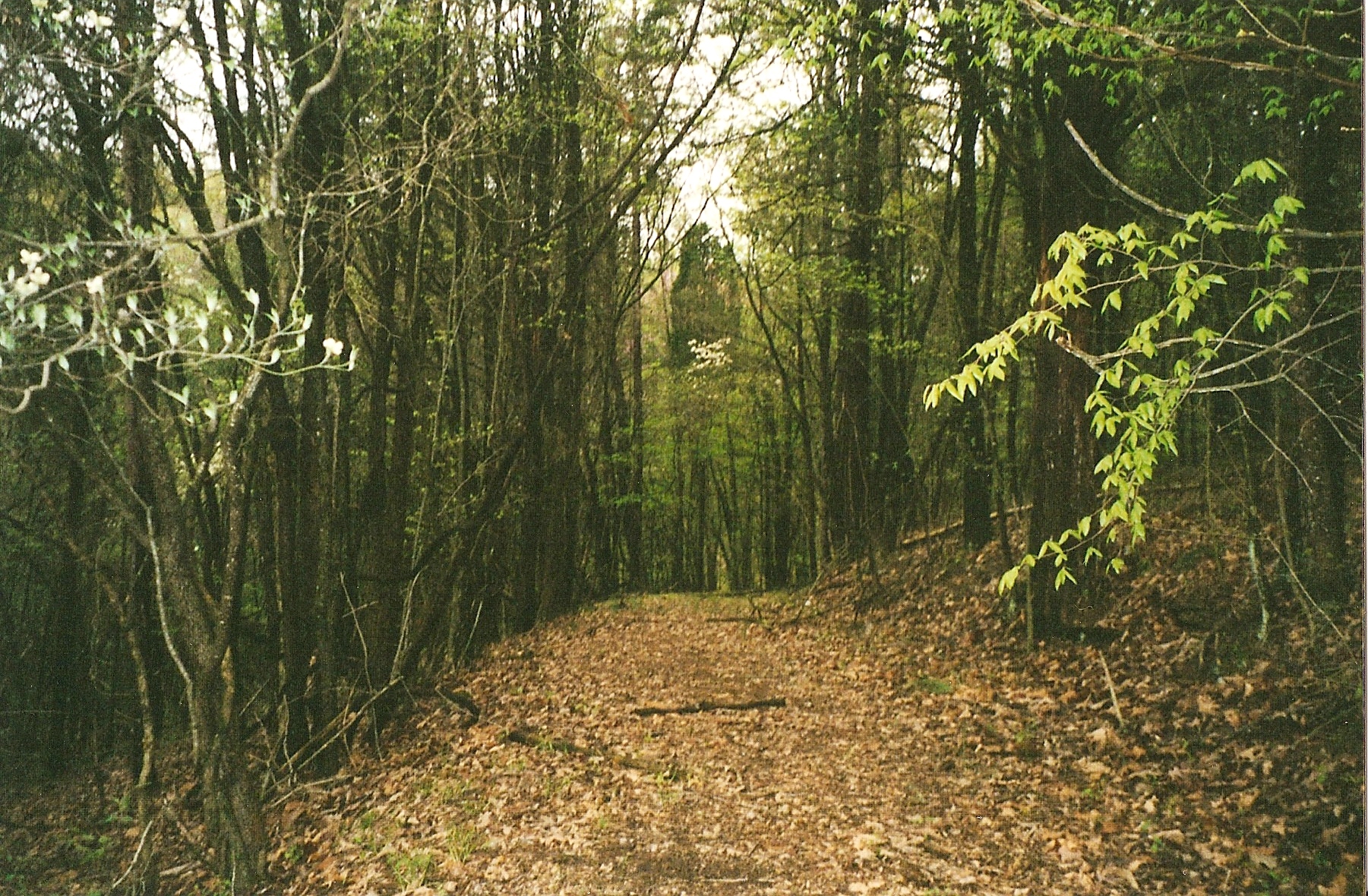 Ash Vs Evil Dead Just Got Cancelled