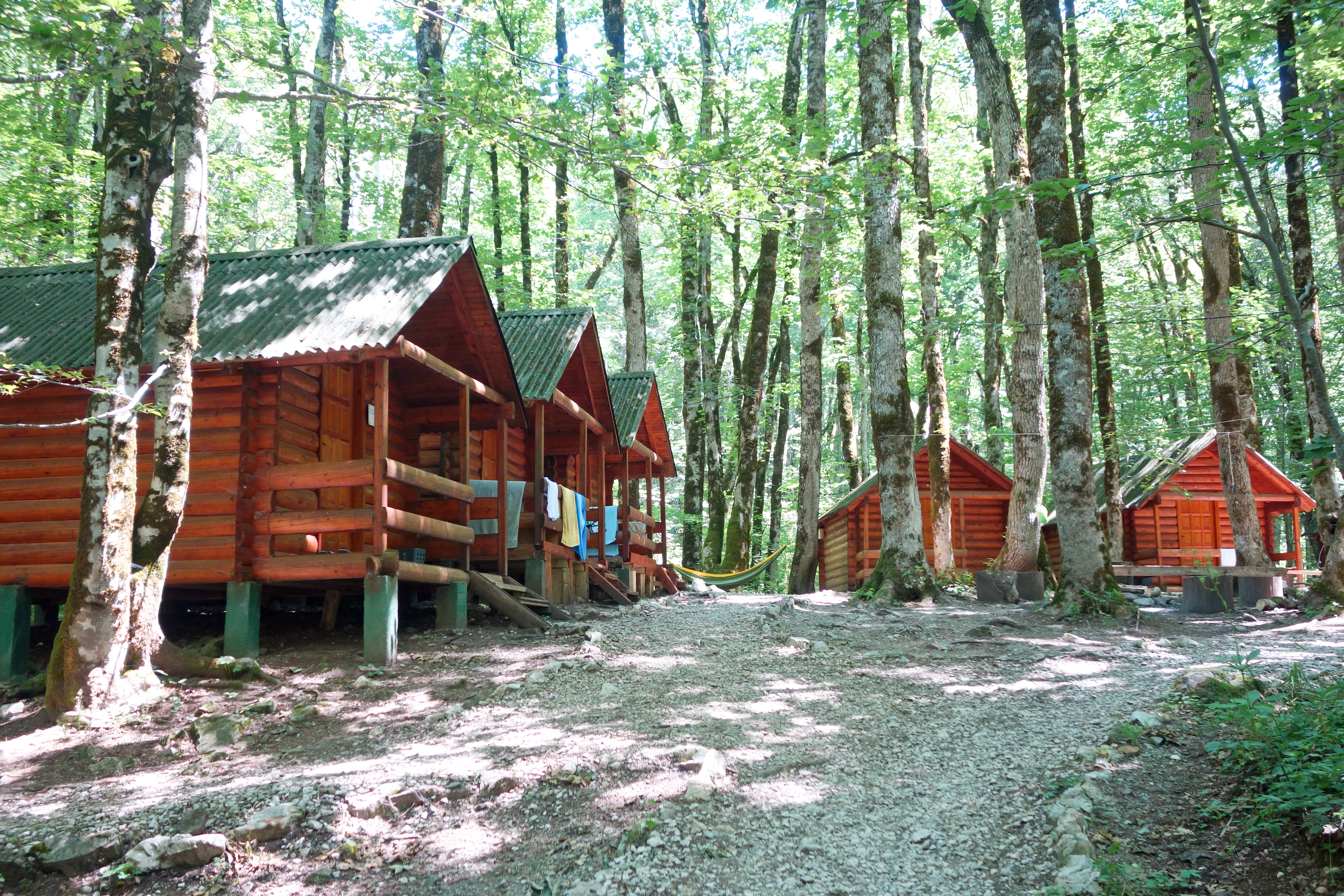 Summer camp cabins in a forested grove in Western North Carolina