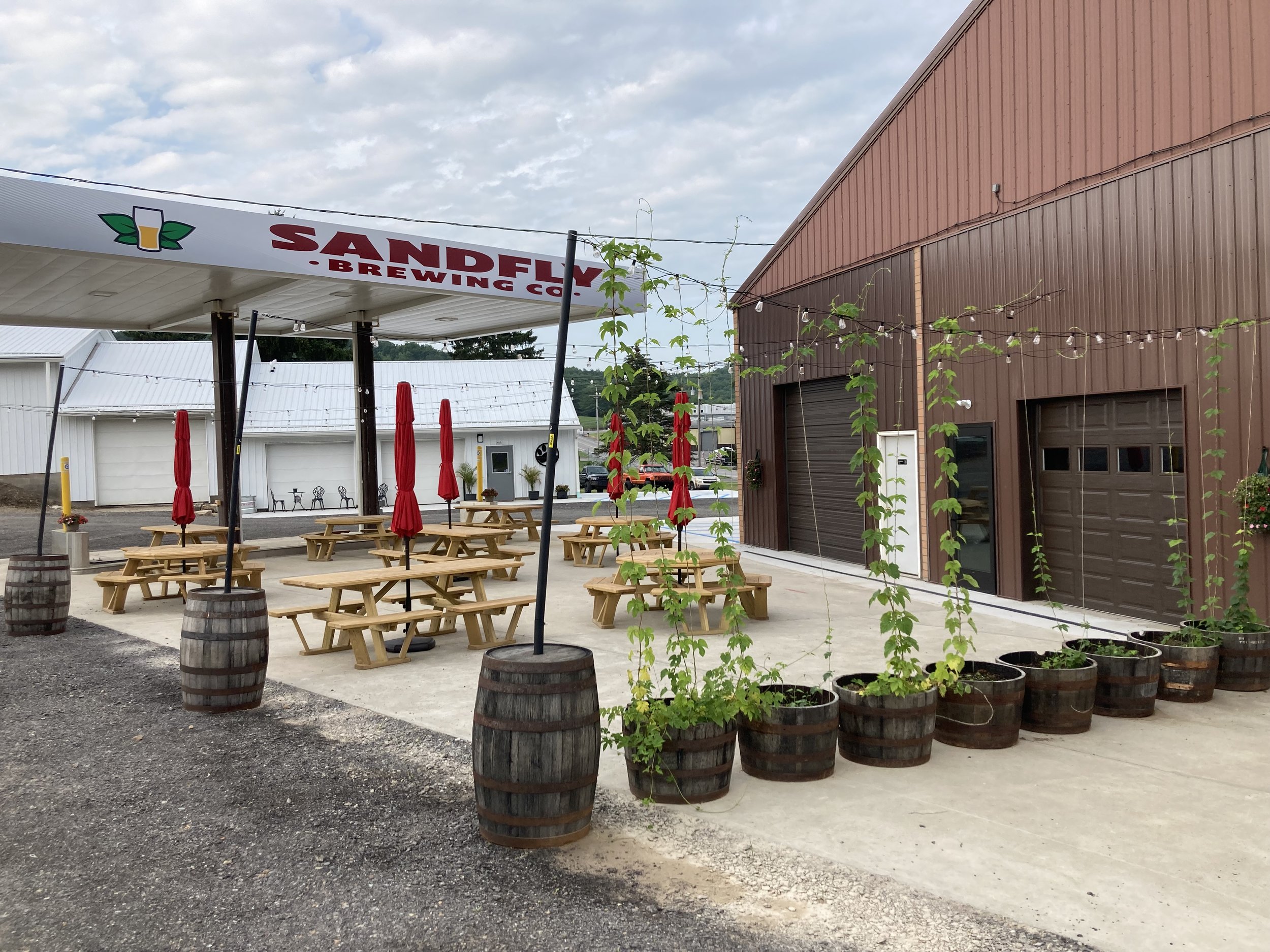 Sandfly Brewing Set To Celebrate Groundhogs Day The Only Way Punxsutawney’s Sole Brewery Can