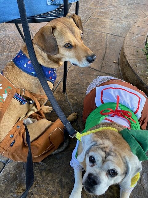 dobby and fagan