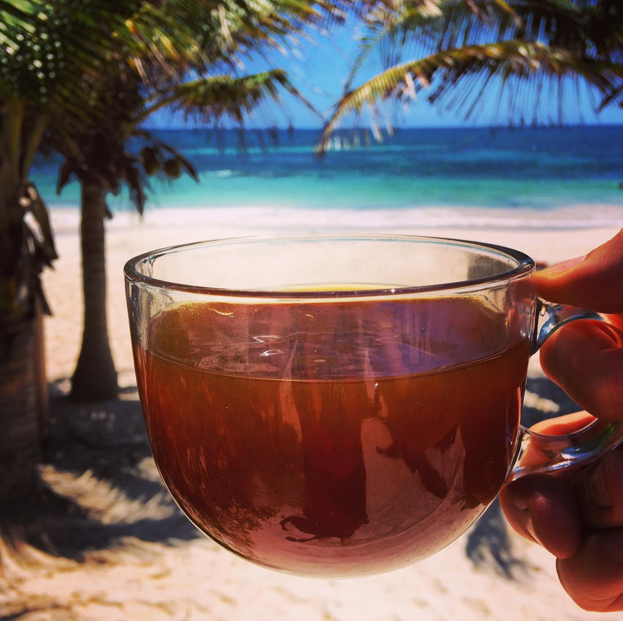 WhatsApp Image 2019-04-10 at 9.43.42 AM