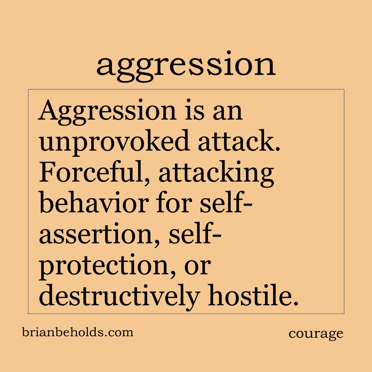 Aggression is an unprovoked attack. Forecful, attacking behavior for self-assertion, self-protection or to be destructively hostile.