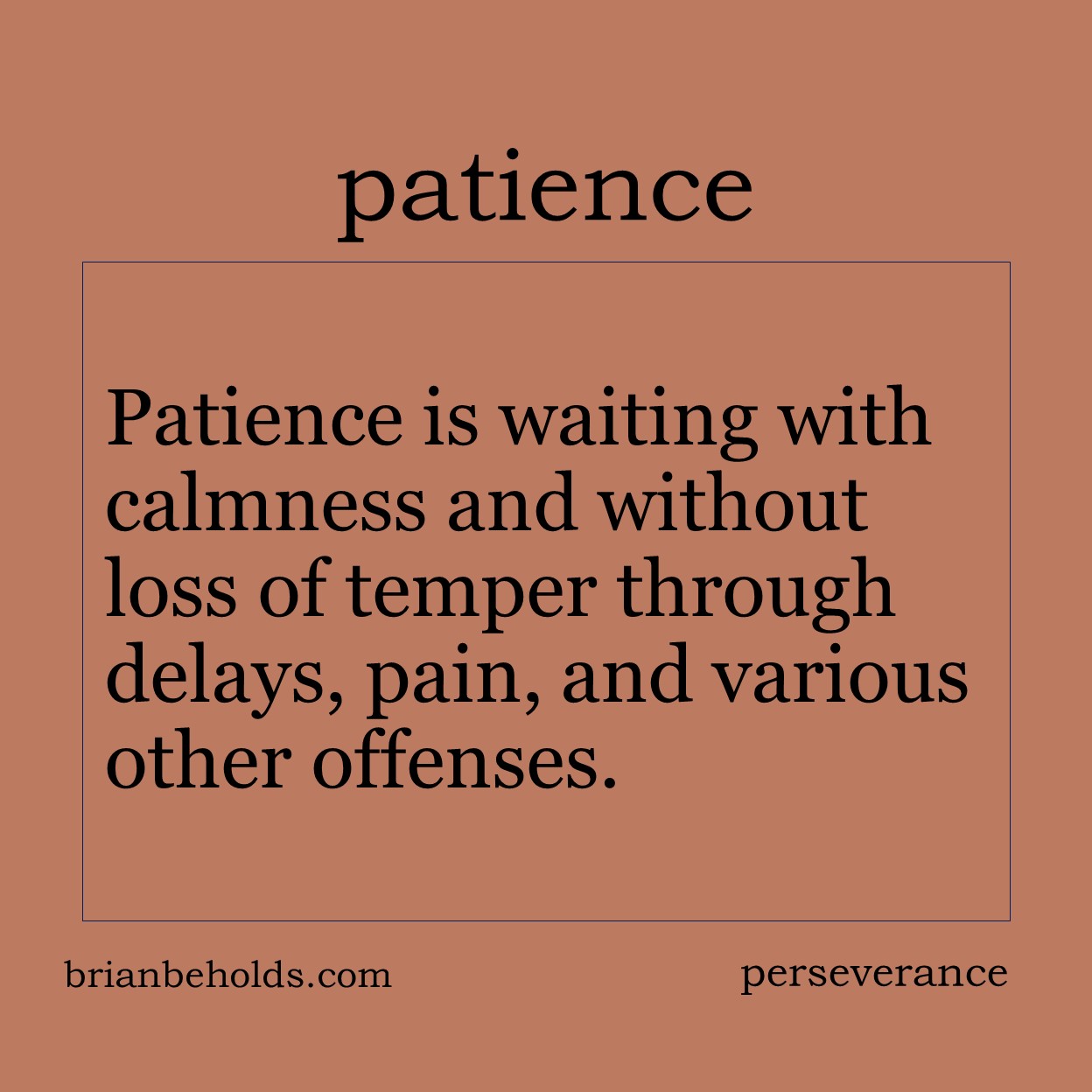 Patience is waiting with calmness and without loss of temper through delays, pain, and various other offenses.