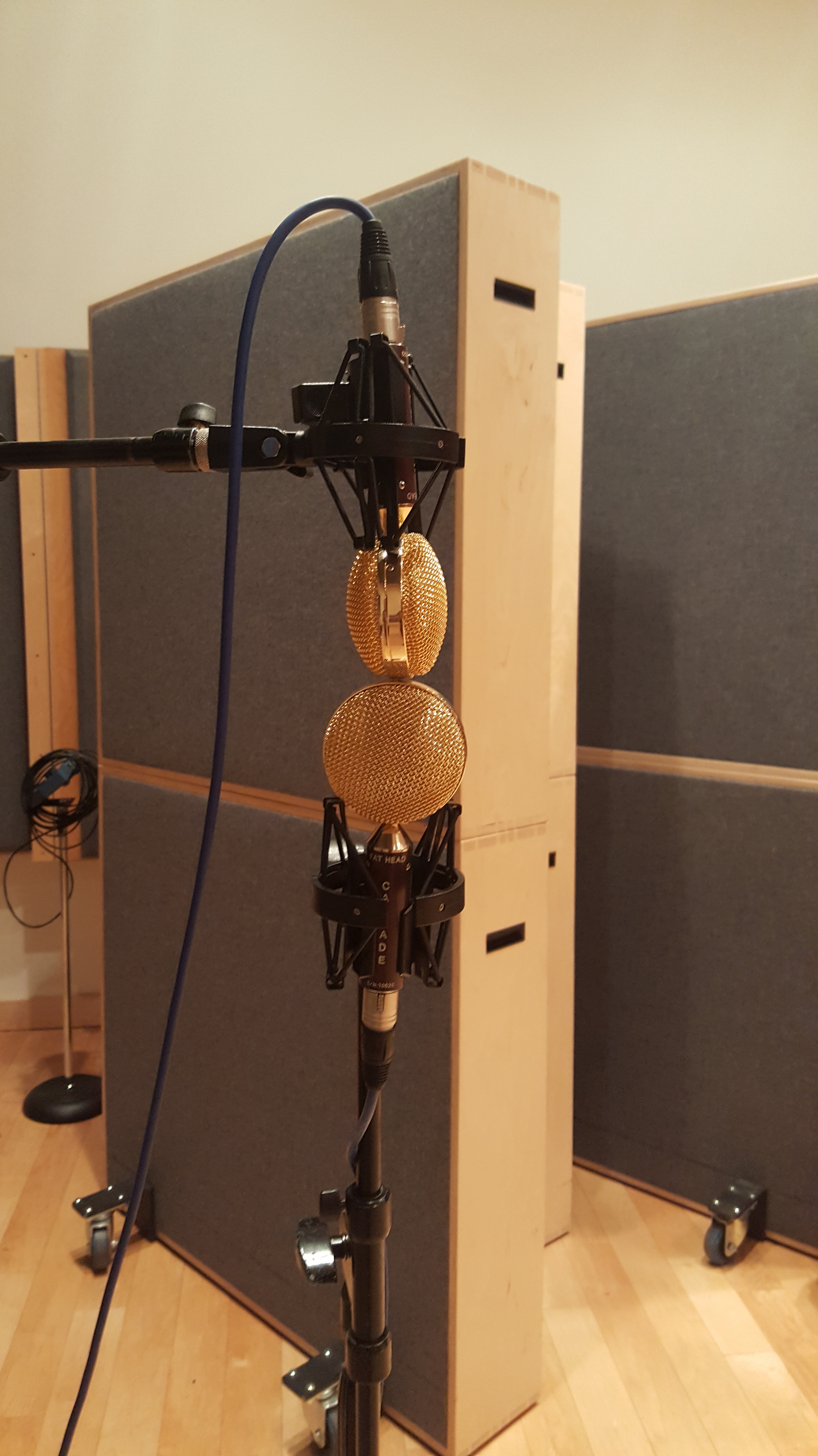 Cascade Fatheads in Blumlein