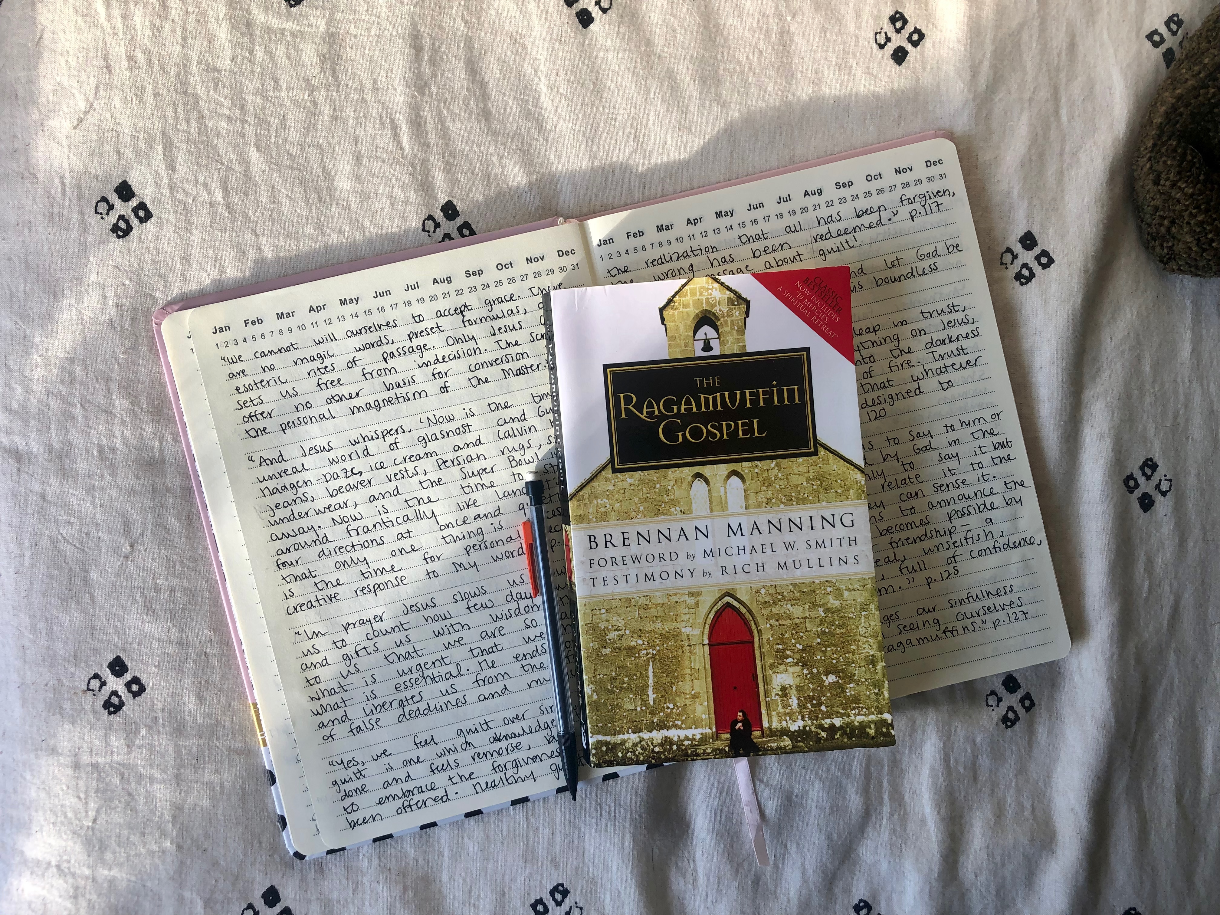 The book for the inconsistent, unsteady, burdened, weak-kneed disciple who doesn’t have it all together. 