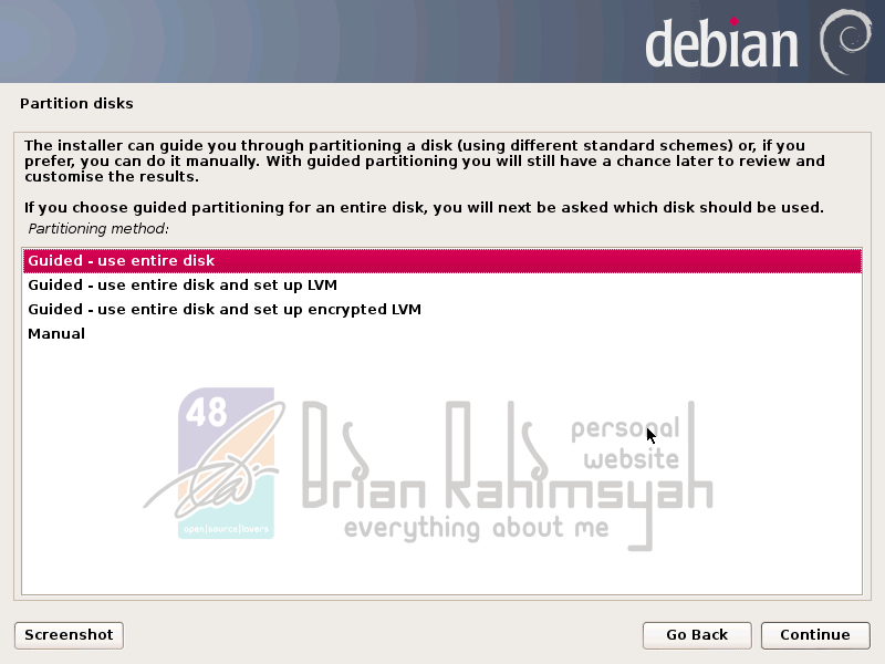 Debian 7 guided partition disk