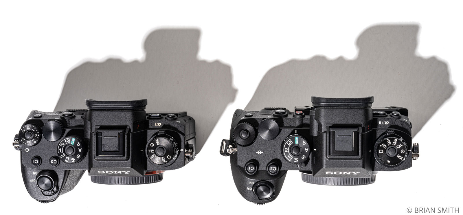 Field Test Review: Sony Alpha 1 II gets a Hemi Upgrade
