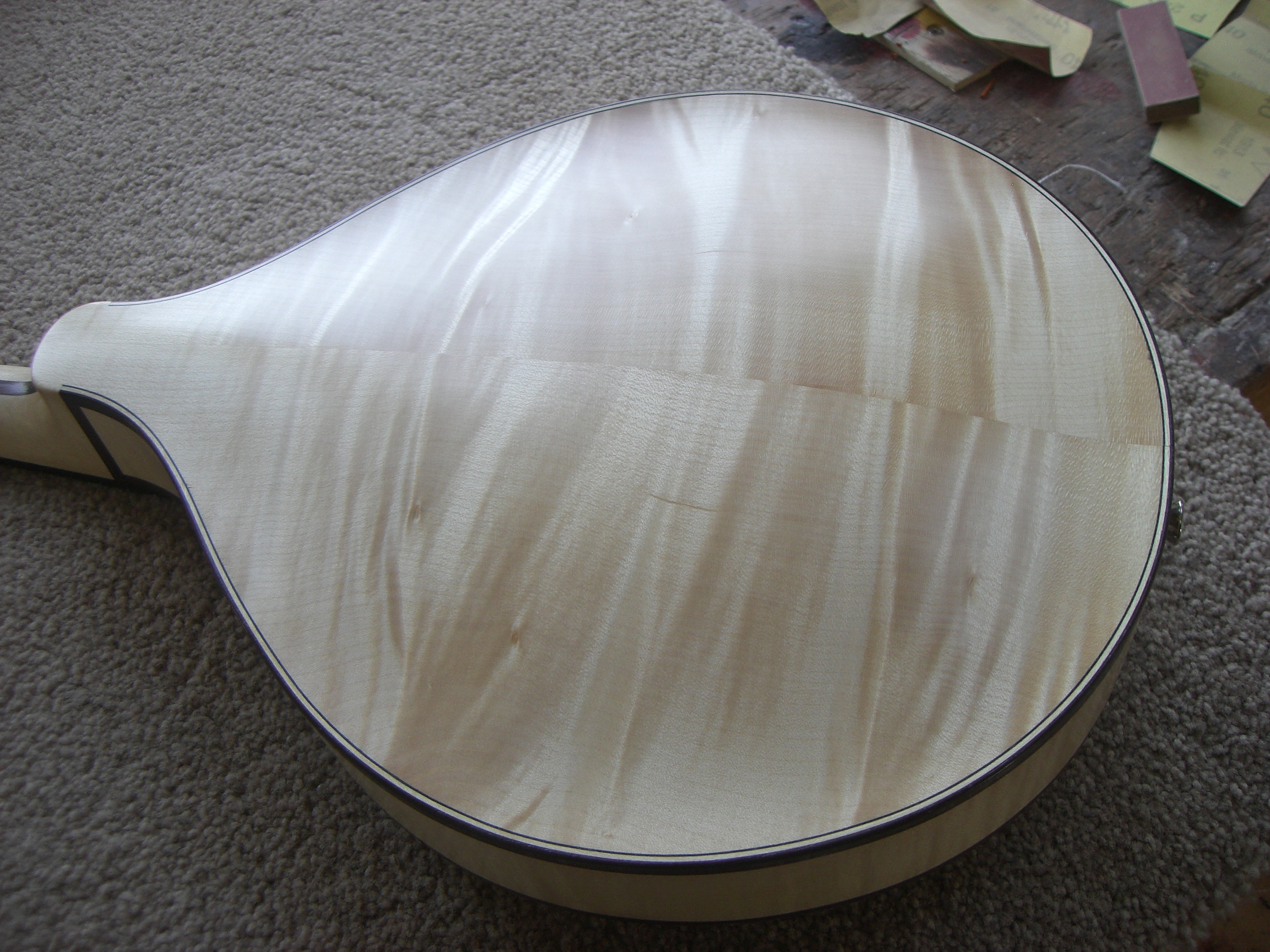 Carved maple mandolin - back