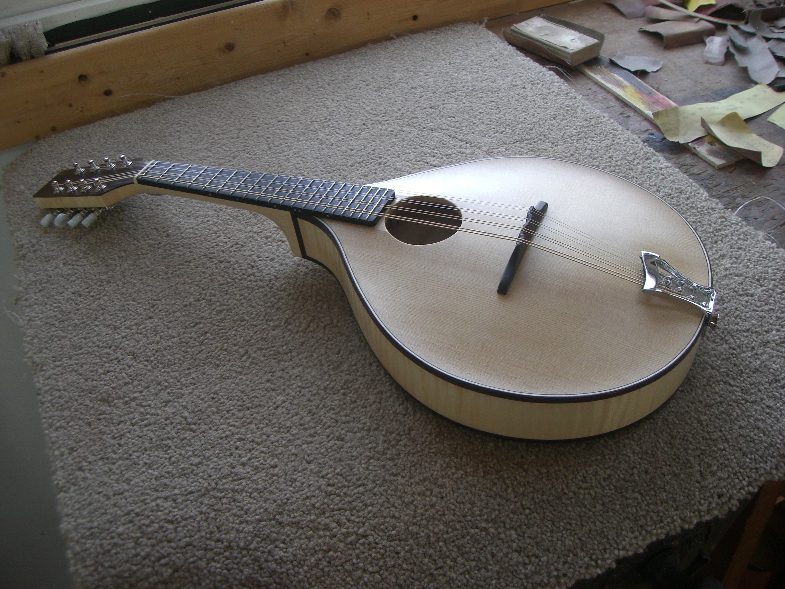 Carved top and maple back mandolin