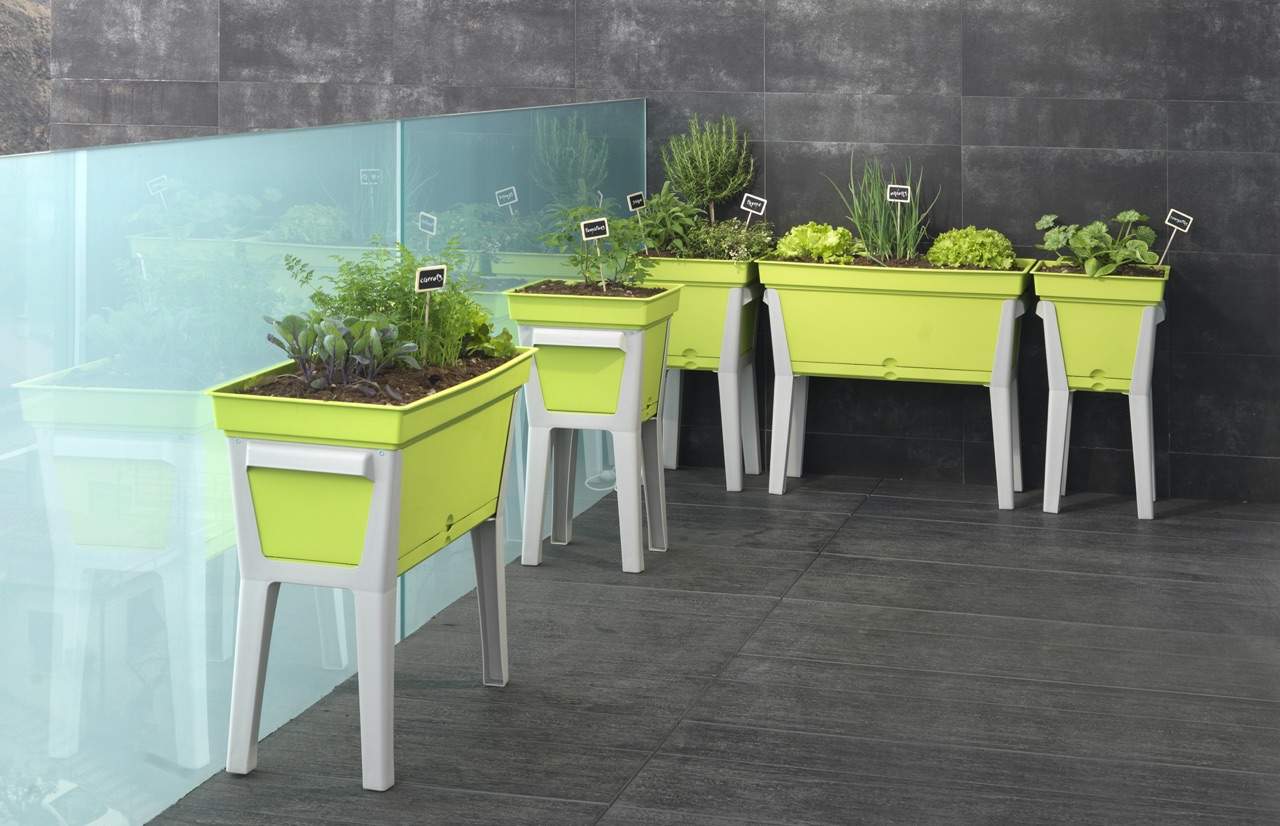 orto urbano sul terrazzo di casa