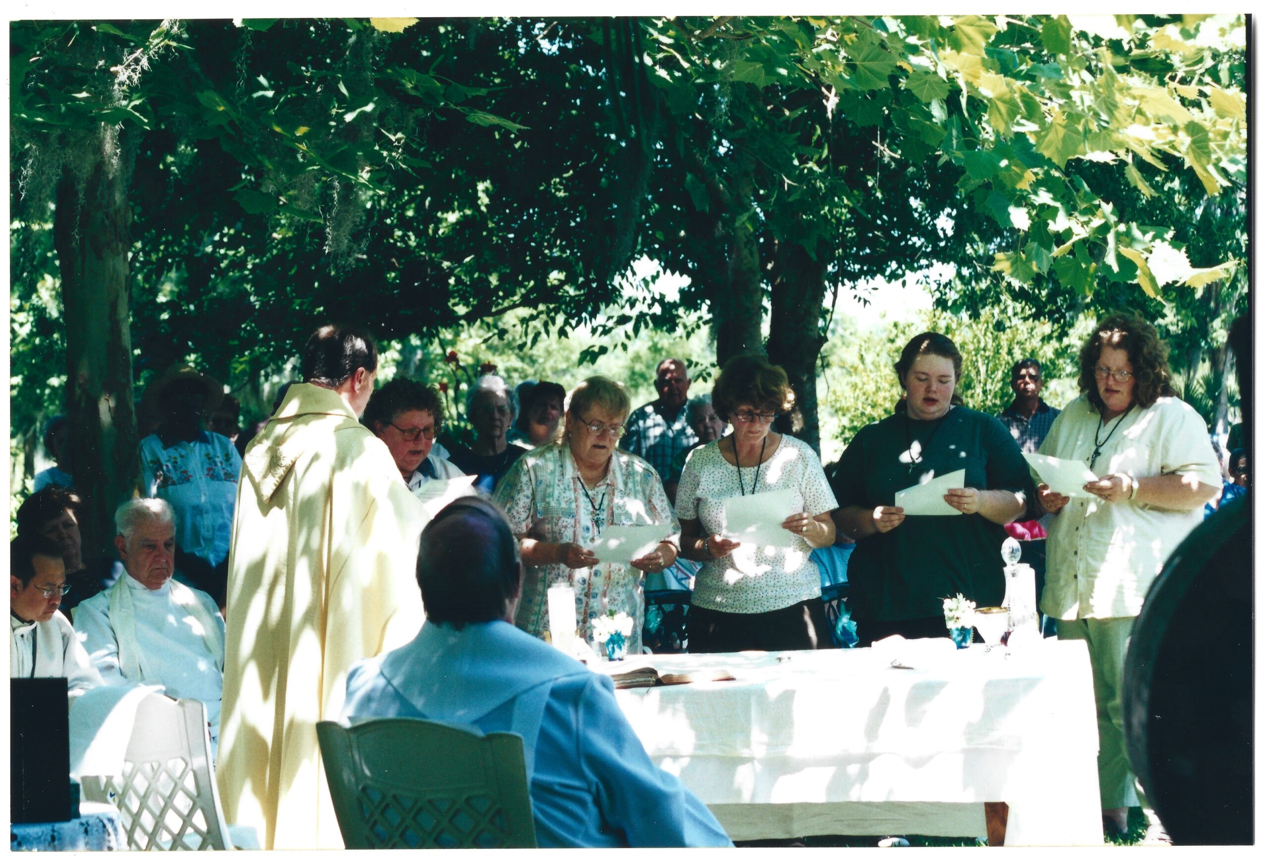 profession document reading