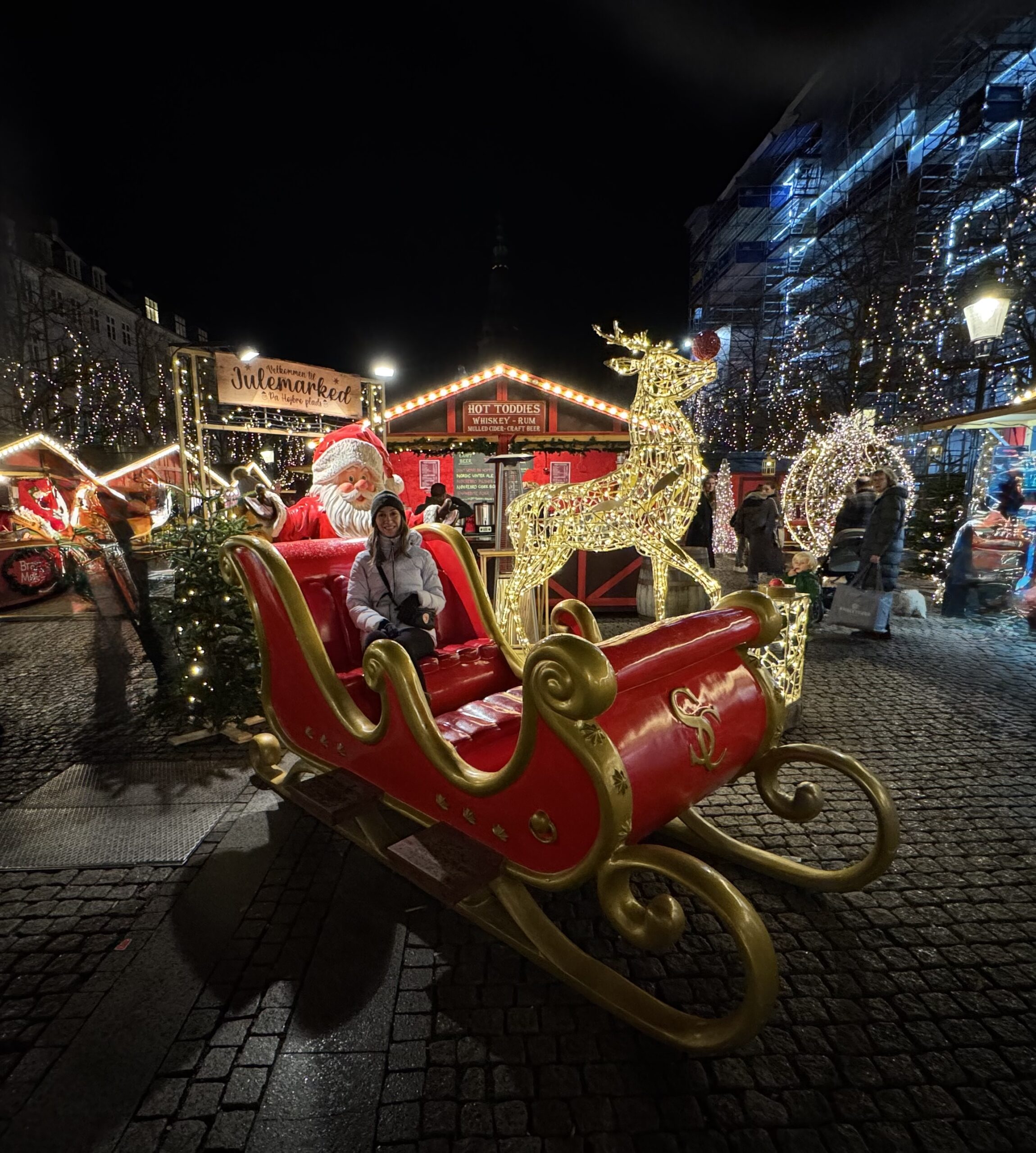 Højbro Plads Christmas Market, Kopenhag’ın merkezinde kurulan; ışıl ışıl dekorasyonları, el işi hediyelikleri ve sıcak lezzetleriyle büyüleyici bir kış pazarı.