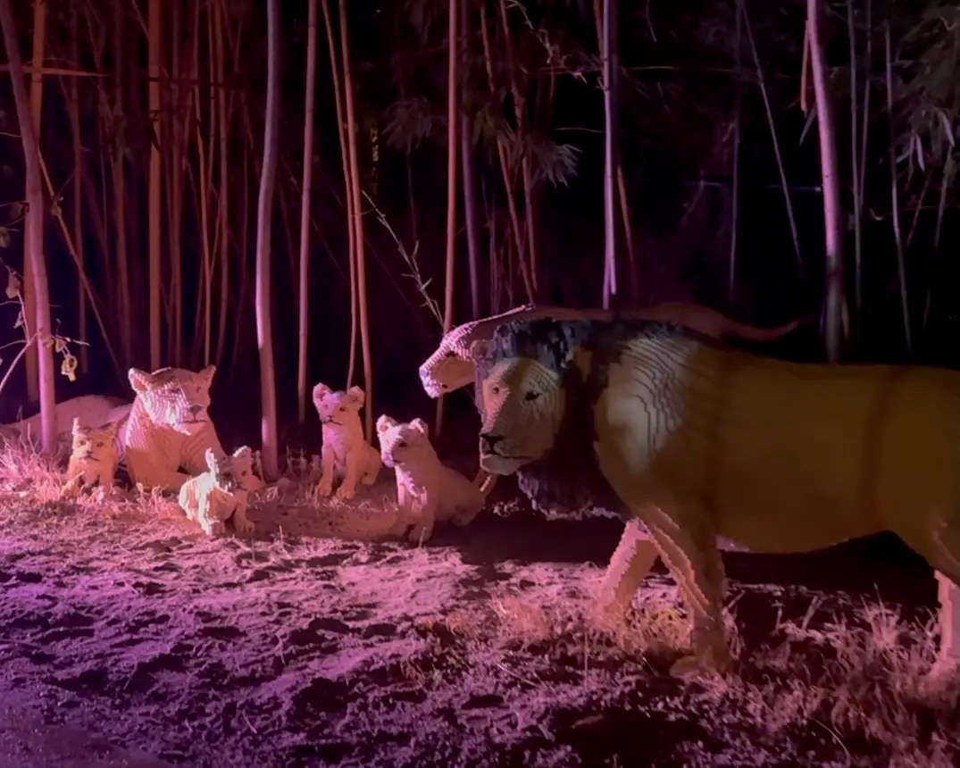 Legoland Deutschland Safari Tour, Lego hayvanlarıyla dolu renkli parkurda ailelere eğlenceli ve keşif dolu bir deneyim sunar.