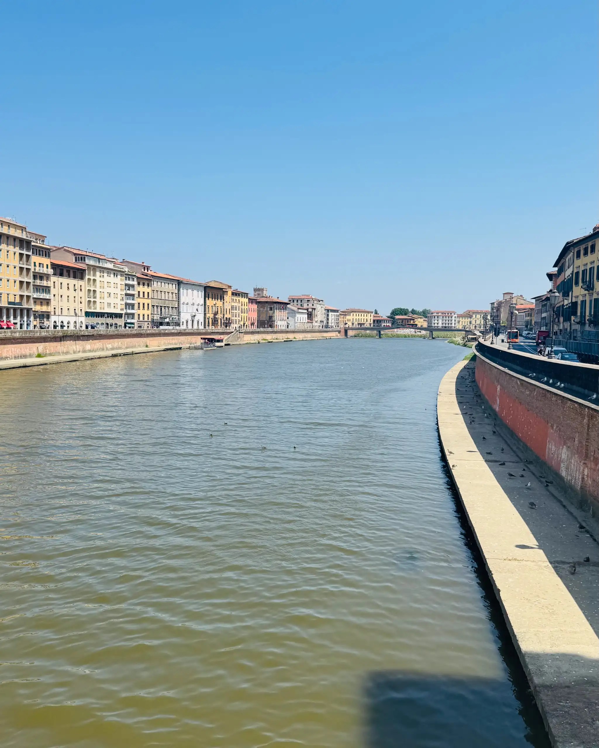 Pisa Gezi rehberi - Pisa şehri nehir manzarası, Arno Nehri boyunca sıralanan renkli tarihi binalar.