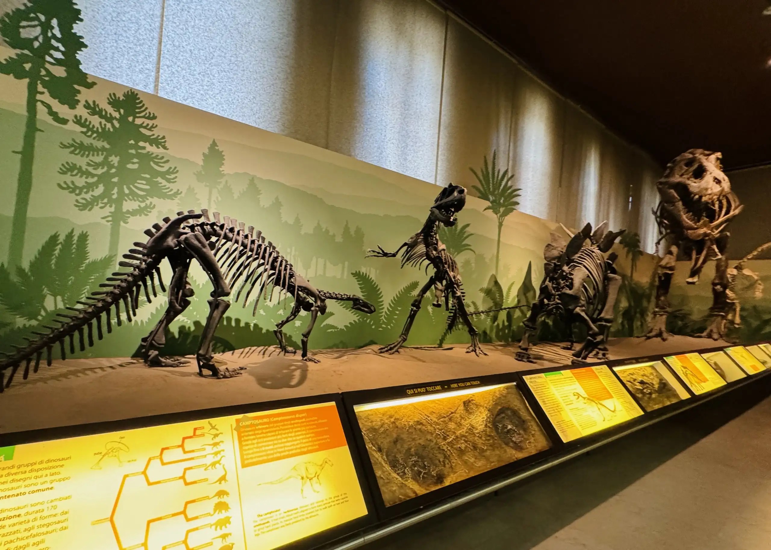 Milano Doğa Tarihi Müzesi: dinozor fosilleri, jeoloji ve zooloji koleksiyonlarıyla şehrin en ilgi çekici kültürel duraklarından biri. Ziyaret saatleri ve ipuçları burada.