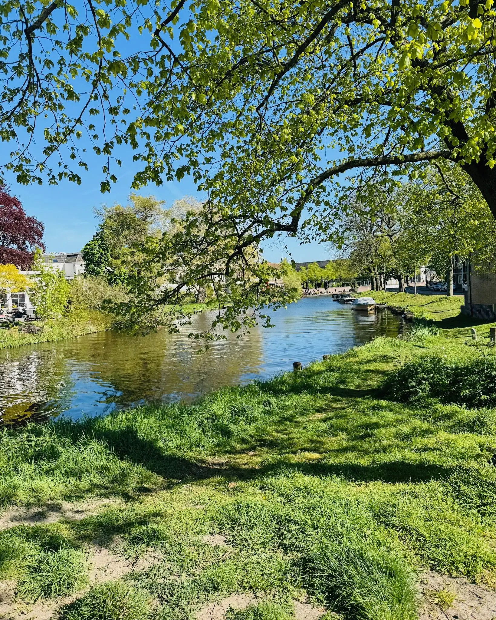 Leiden manzaraları: Hollanda’nın tarihi kanalları ve büyüleyici şehir görüntüleri.