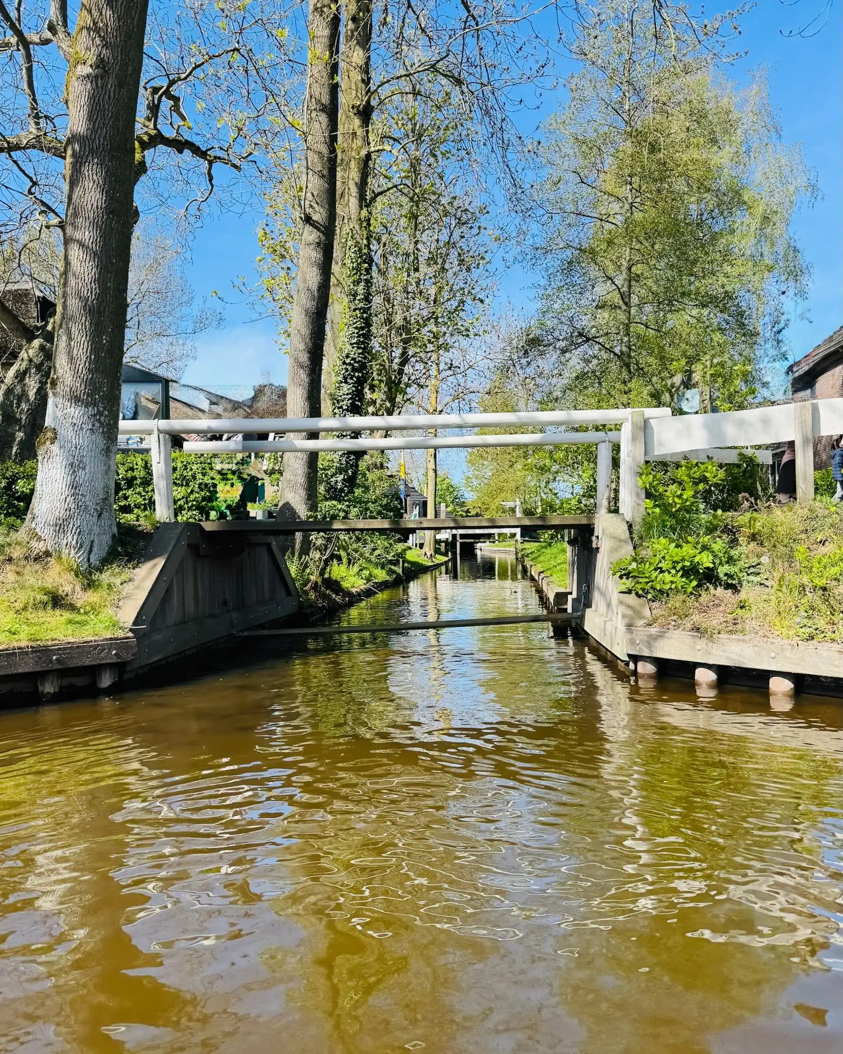 Sessiz köy Giethoorn’da doğa içinde yürüyüş ve huzurlu atmosfer.
