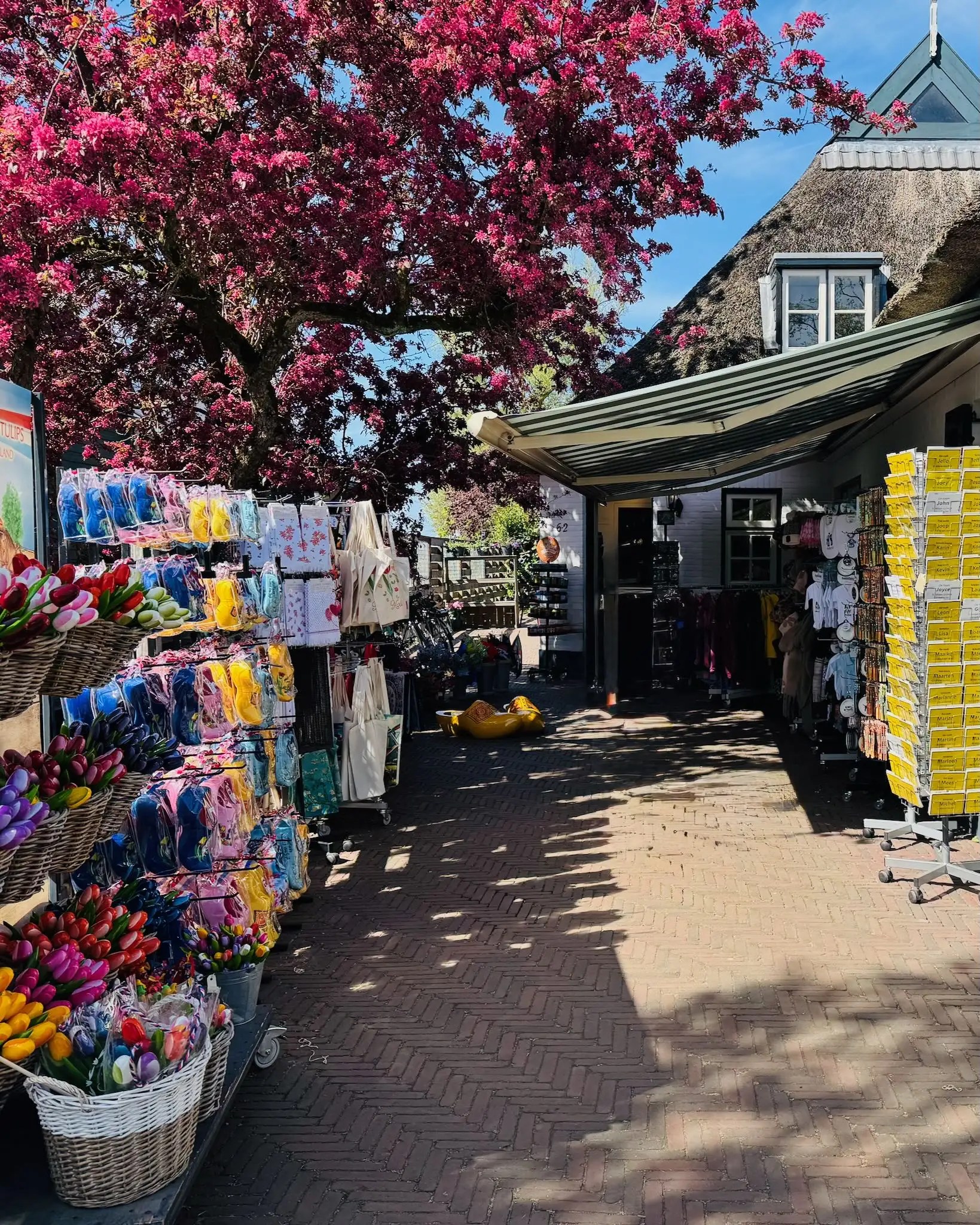 Giethoorn’da çiçekli ağaçların gölgesinde huzurlu yürüyüş.