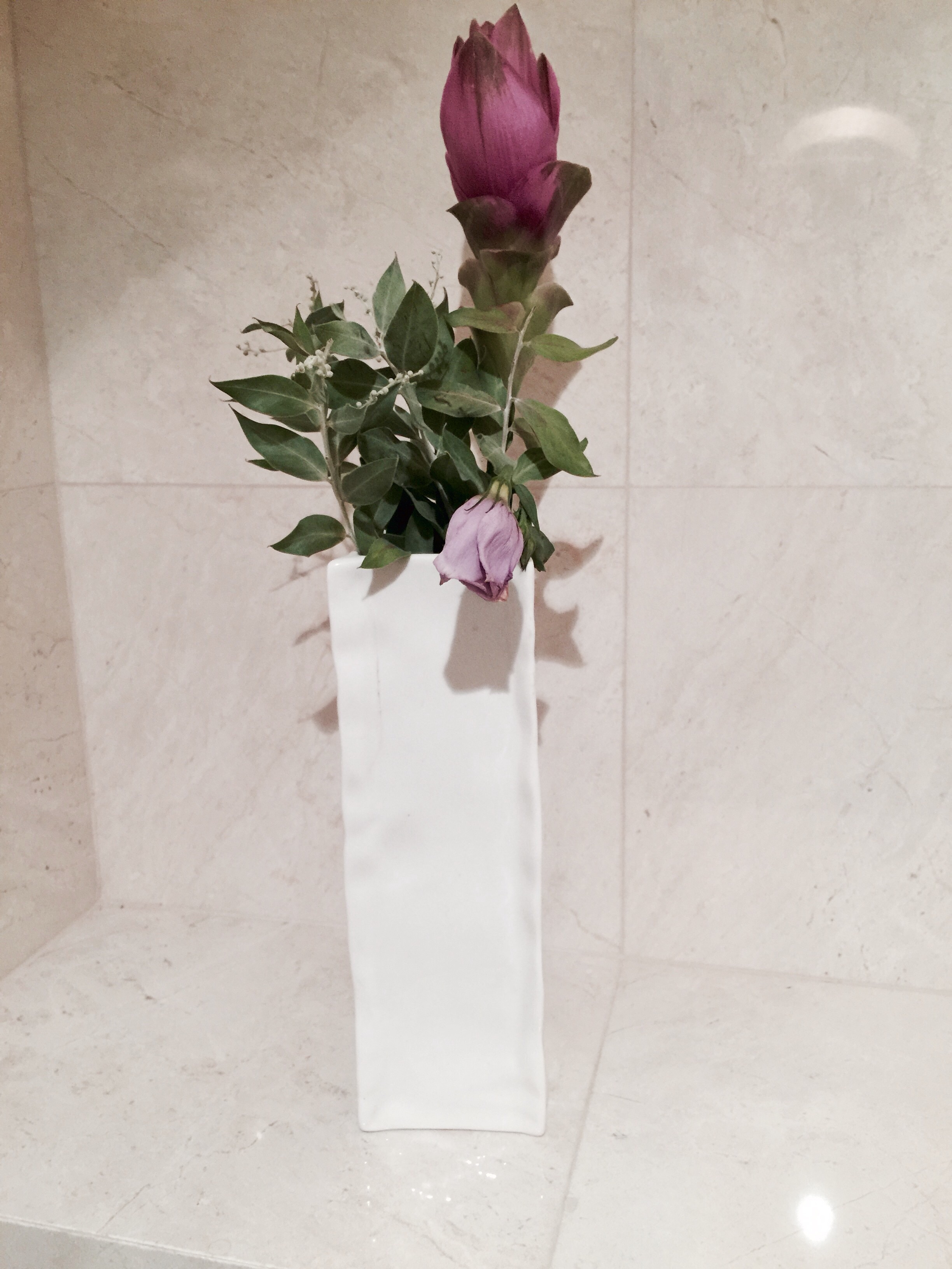 Flowers in the WC